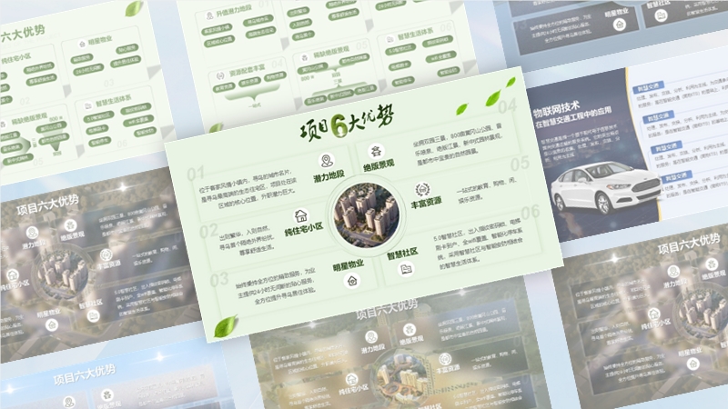 项目六大优势